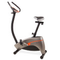 Proteus Daytona V6 Hometrainer