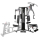 BodyCraft Galena Pro Multistation