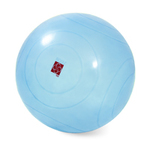 BOSU Ballast Ball