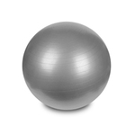 Hastings Gym Ball 55cm Silver