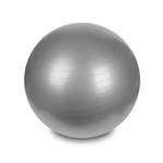 Hastings Gym Ball 65cm Silver