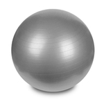 Hastings Gym Ball 75cm Silver