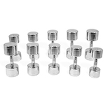 Kroon chromen dumbbells (12 tot 20 kg)